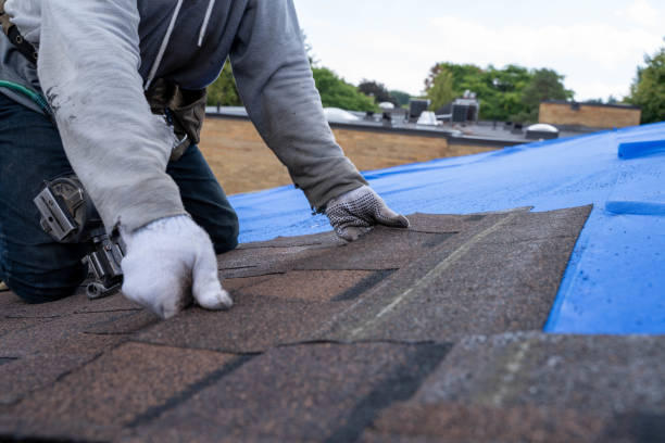 Quick and Trustworthy Emergency Roof Repair Services in Sandy Springs, SC